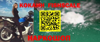 крисы Пенза