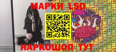 крисы Пенза