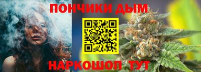 крисы Пенза