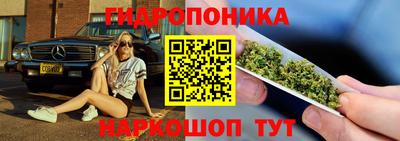 крисы Пенза