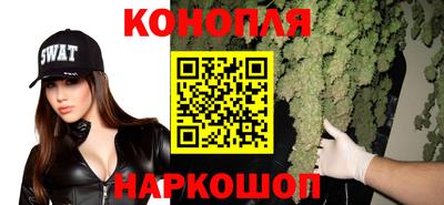 крисы Пенза