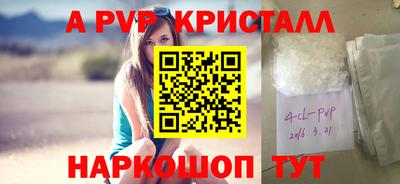 крисы Пенза