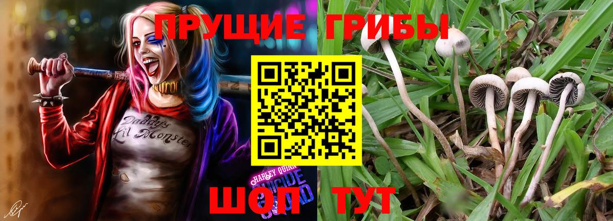 Псилоцибиновые грибы MAGIC MUSHROOMS Усолье-Сибирское